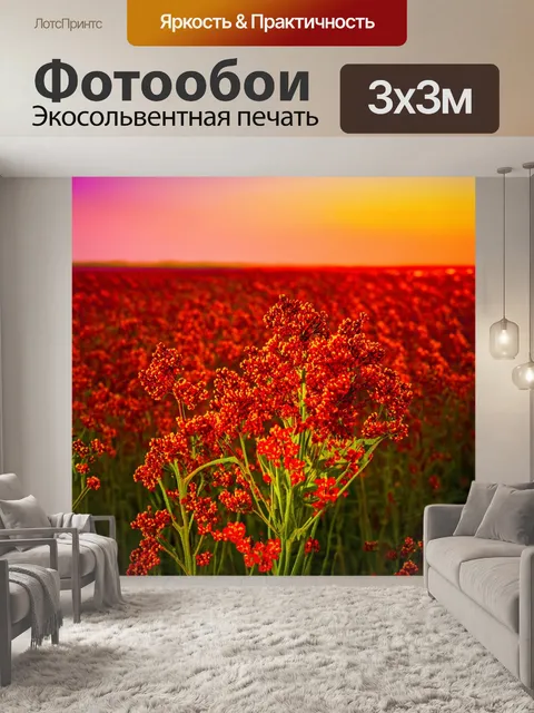 Фотообои поле алой гречки в вечерних лучах заката, цветы распустились на фоне оранжевых и розовых небес