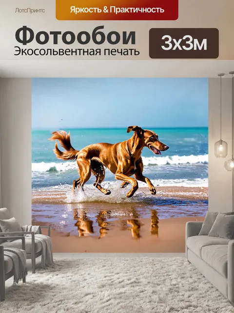 Фотообои гибрид салюки, быстрый и дикий, бегущий по берегу моря, его шерсть развевается на ветру, а вода брызгает…