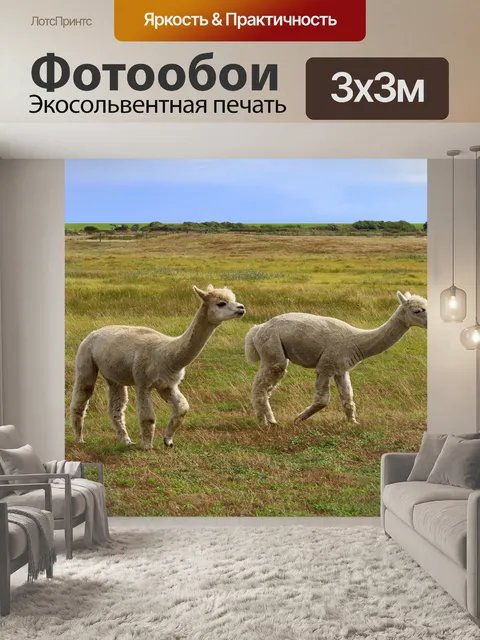 Фотообои Longoog