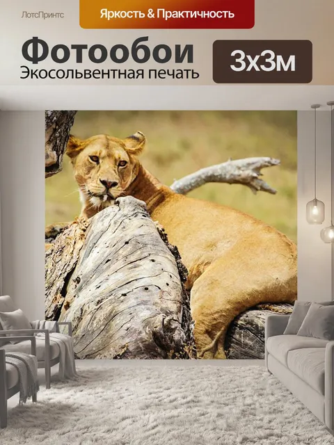 Фотообои Лев