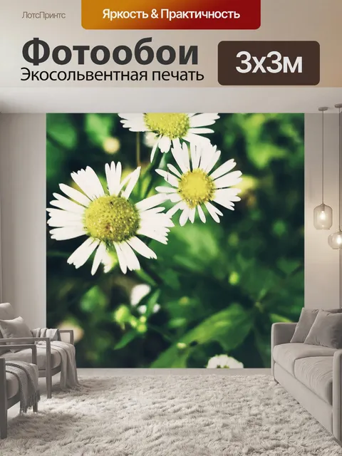 Фотообои Красивые цветы