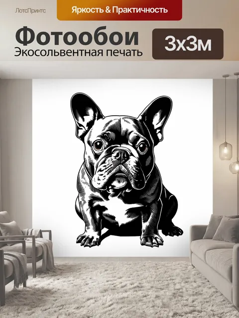 Фотообои создайте черно-белую иллюстрацию милого французского бульдога