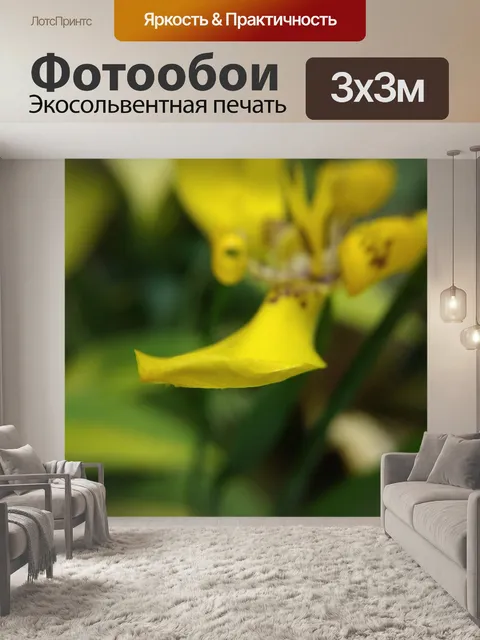 Фотообои Желтый ирис