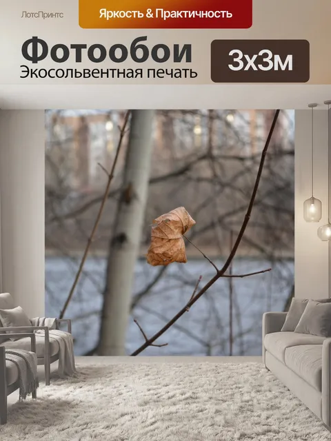 Фотообои сухой лист