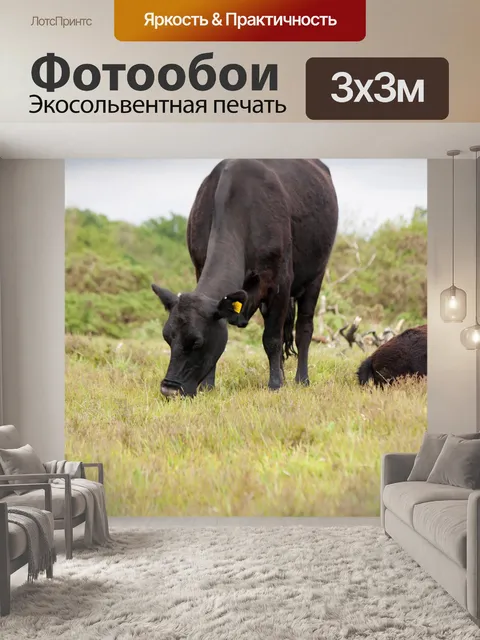 Фотообои Корова Выпас