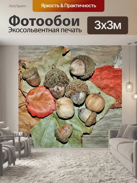 Фотообои Осенняя коллекция на дереве 2