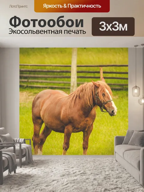 Фотообои Лошадь на пастбище