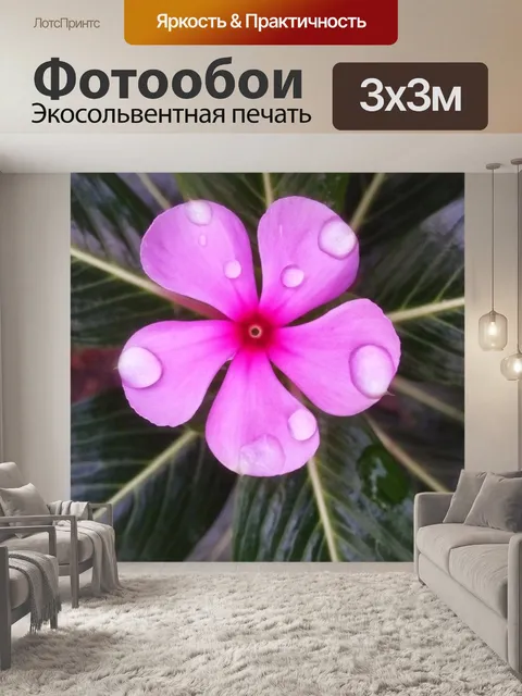 Фотообои Природа