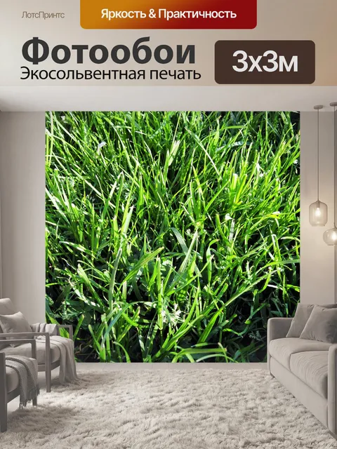 Фотообои Природа