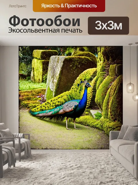 Фотообои сцена в старом саду, павлин медленно прогуливается, его хвостик распускается среди старинных камней…