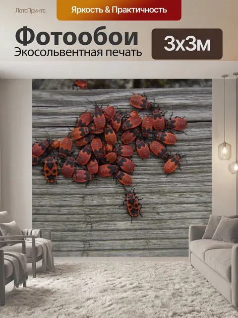 Фотообои Древесина
