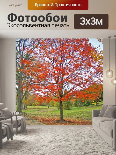 Фотообои Оранжевый клен