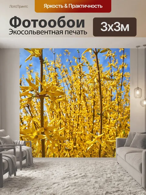 Фотообои Форсайтия
