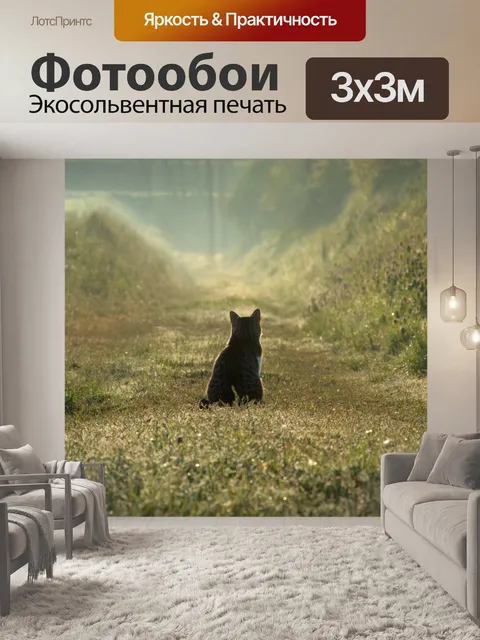 Фотообои Кошка
