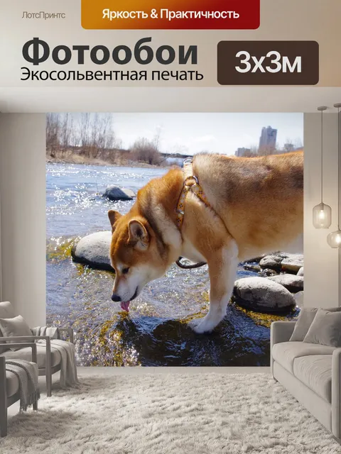 Фотообои Собака