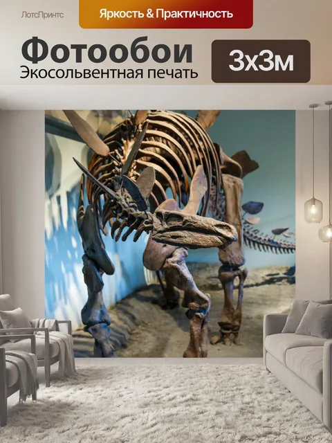 Фотообои Скелет динозавра