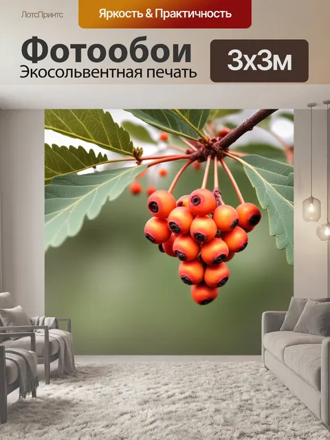 Фотообои гроздья