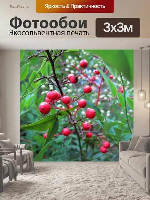 Фотообои красные ягоды святой бамбука