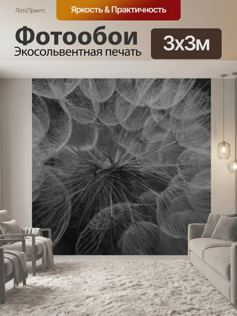 Фотообои Одуванчик