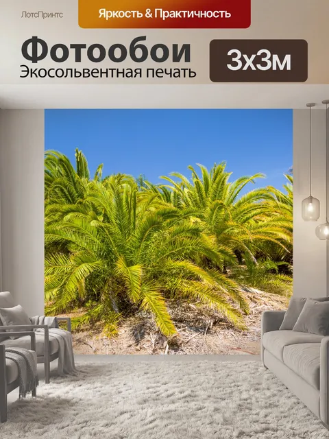 Фотообои Пальмы и голубое небо