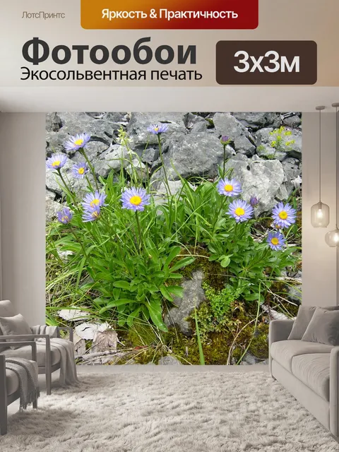 Фотообои Prosiecká долина
