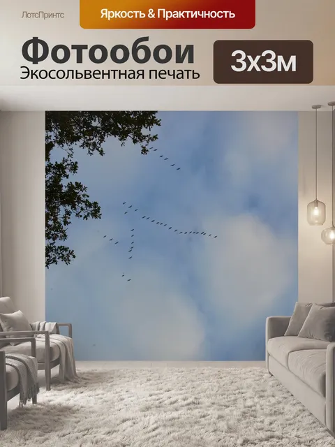 Фотообои Стая птиц