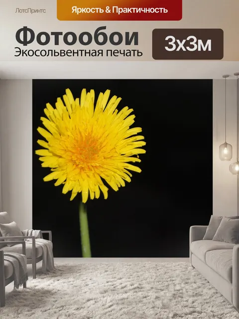 Фотообои Желтый цветок