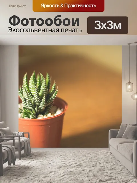 Фотообои Кактус