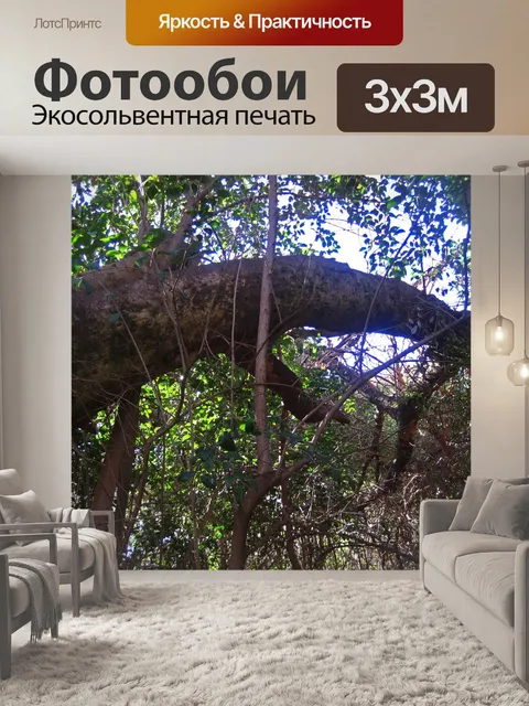 Фотообои речной куст ивы ствол дерева арка