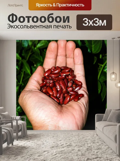 Фотообои Красные бобы