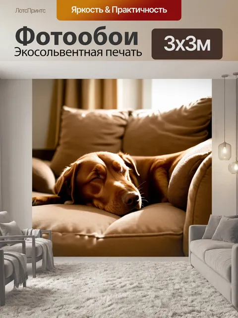 Фотообои в уютной комнате коричневый лабрадор ретривер спит на мягком диване, его шерсть сияет в условиях мягкого света