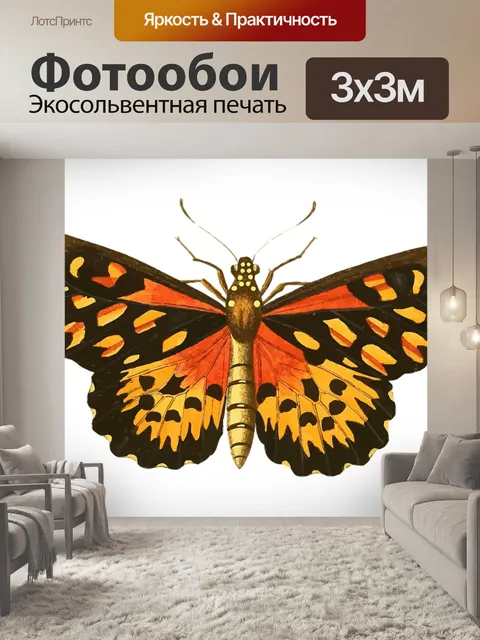 Фотообои Животное