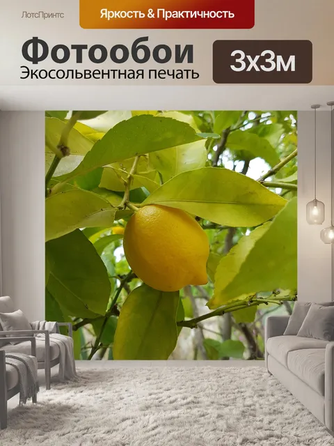 Фотообои Лимон