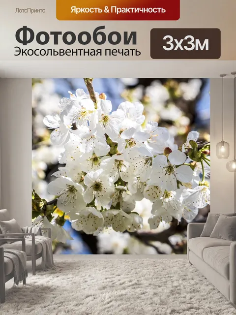 Фотообои Белые цветки