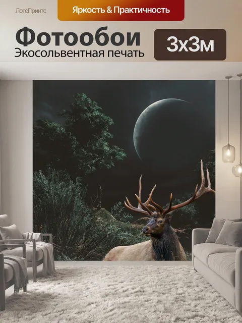 Фотообои Луна
