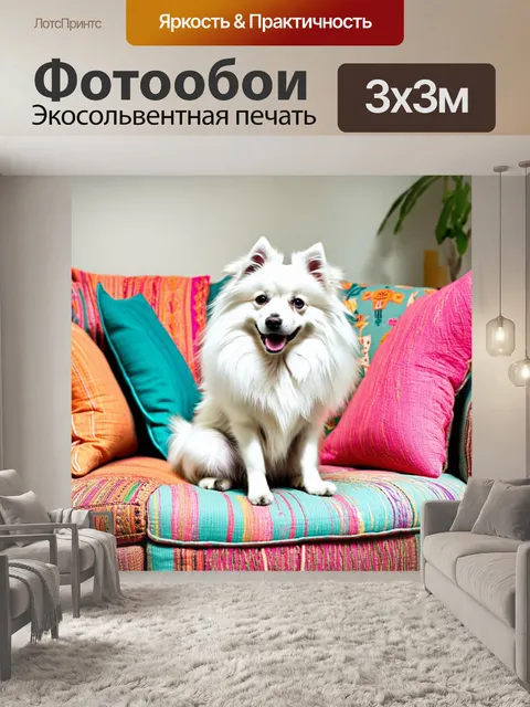 Фотообои изобразите белого шпца, аккуратно сидящего на большом цветном диване, окруженном подушками в стиле бохо