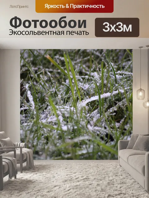 Фотообои Замороженный