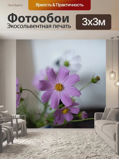 Фотообои Космос