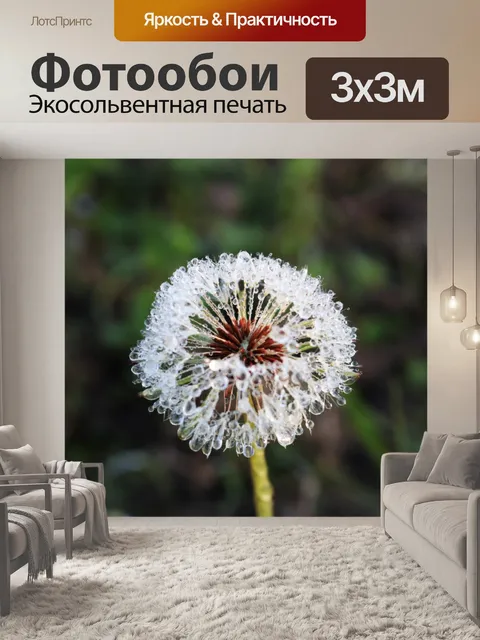 Фотообои Вид сбоку на одуванчик и росу
