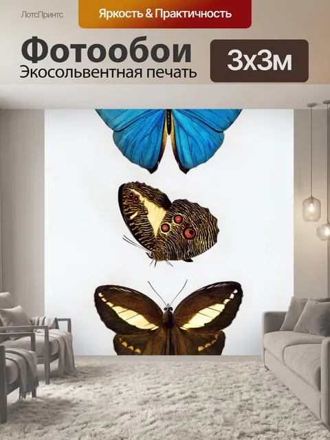Фотообои Бабочка моли мотылек винтаж