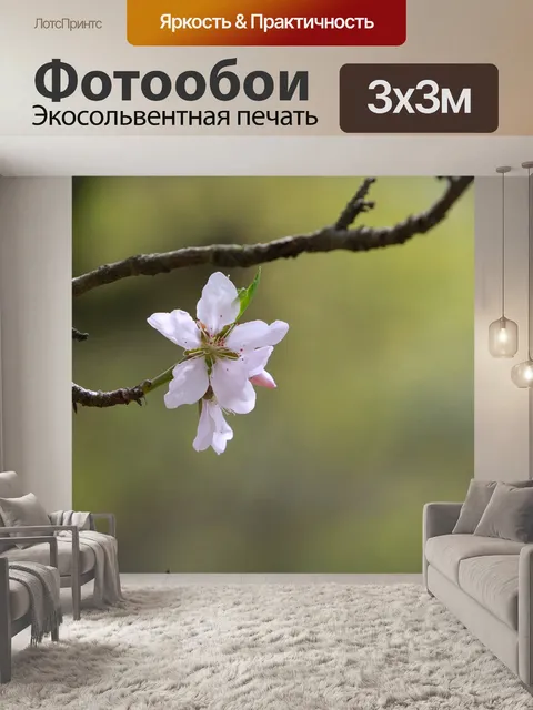 Фотообои Цветок