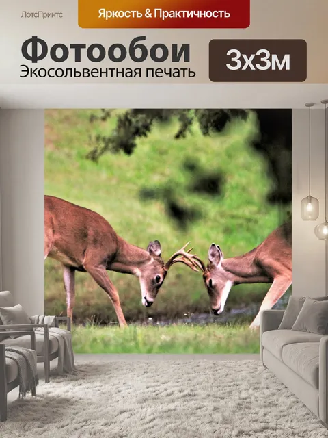 Фотообои Два молодых оленя бака