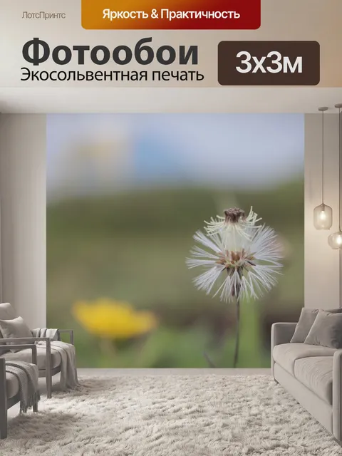 Фотообои Белый