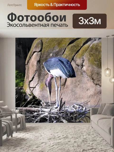 Фотообои Аист есть