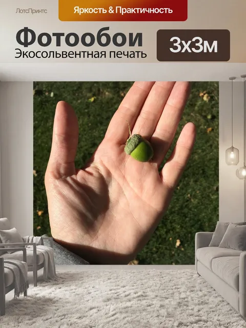 Фотообои Рука