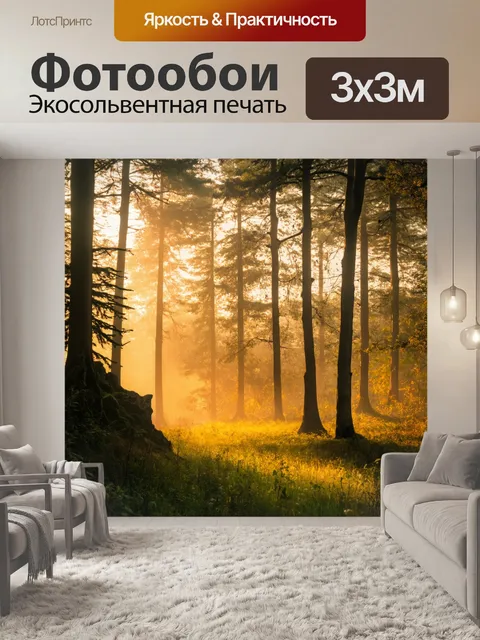 Фотообои утро, лес, освещенный мягким светом, где звук птиц сопровождает спокойный утренний пейзаж