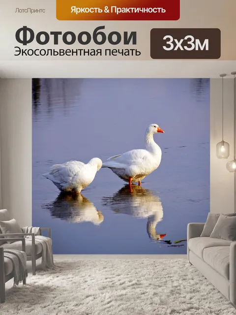 Фотообои Гусь