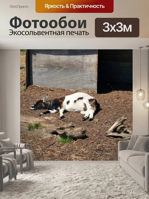 Фотообои Козел