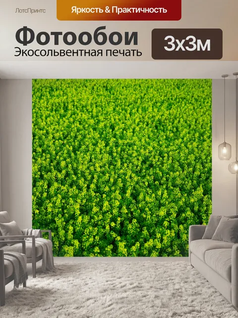 Фотообои Рапсовое модель