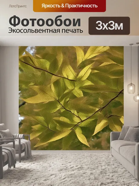 Фотообои зеленые под солнцем